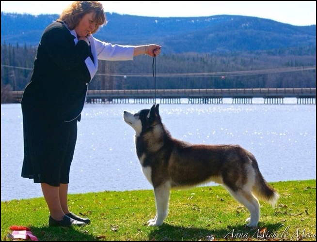 dog photo