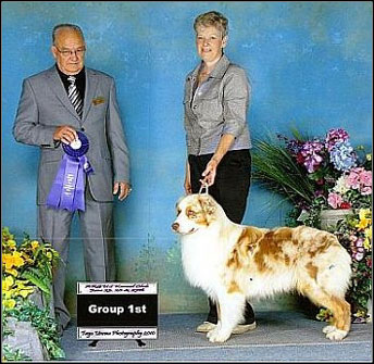 dog photo