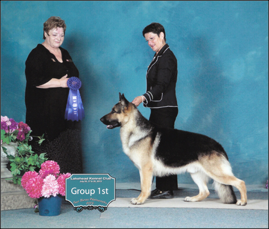 dog photo