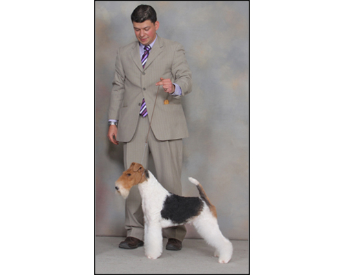 dog photo