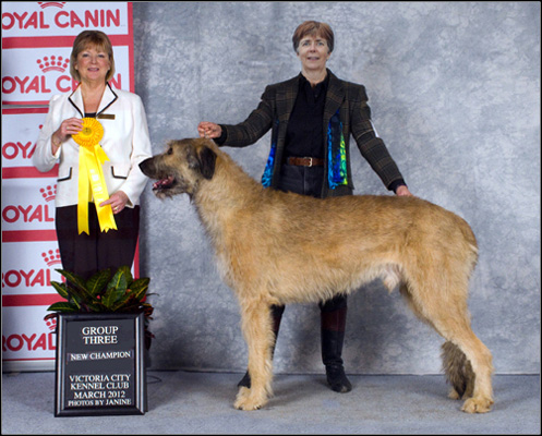 dog photo