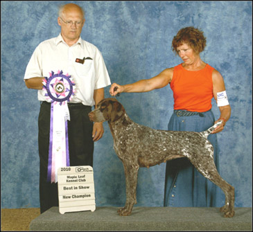 dog photo