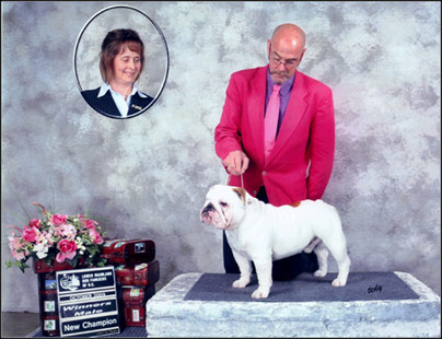 dog photo