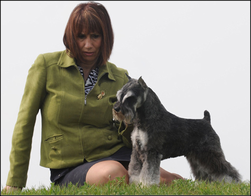 dog photo