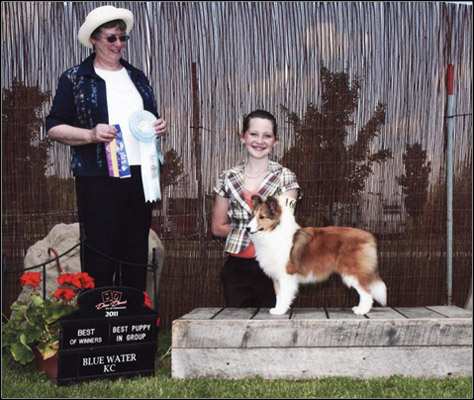 dog photo