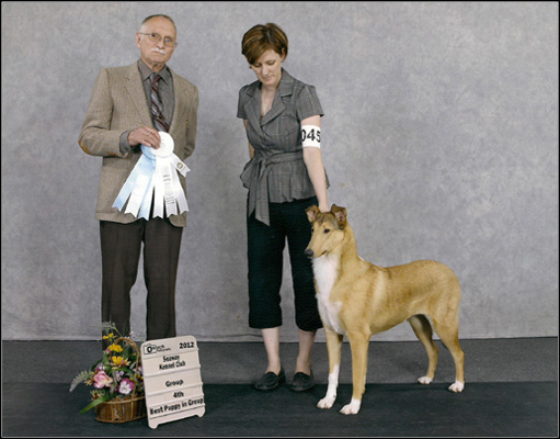 dog photo