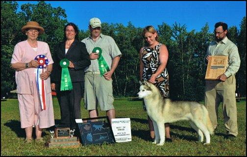 dog photo