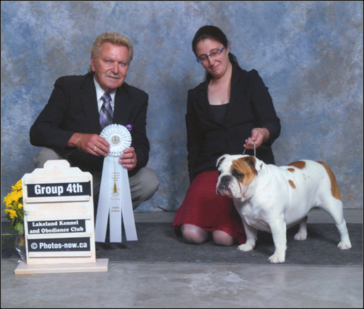 dog photo