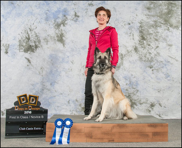 dog photo