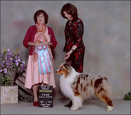 dog photo