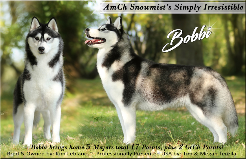 Canuck Dogs Your source for Canadian dog event information online.