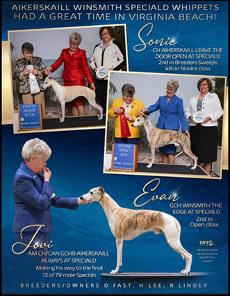 Plum creek best sale whippets